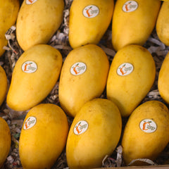Katimon Mango / কাটিমন আম