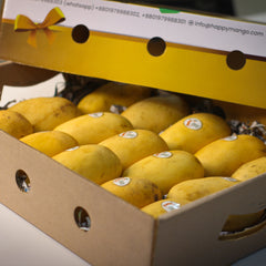 Katimon Mango / কাটিমন আম