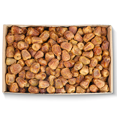 Sukkari Mufattal Dates 1kg